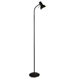 Lacona Capri 1Lt Indoor Floor Lamp In Matt Black Paint Finish - Lacona Home 