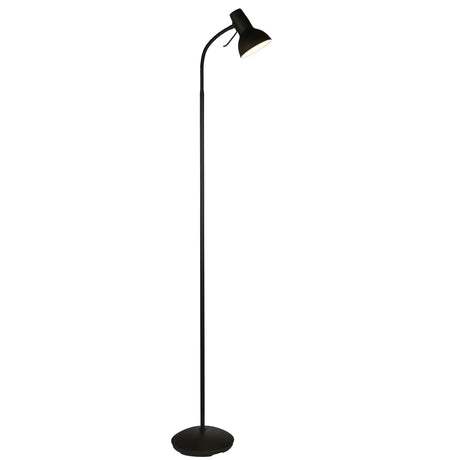 Lacona Capri 1Lt Indoor Floor Lamp In Matt Black Paint Finish - Lacona Home 