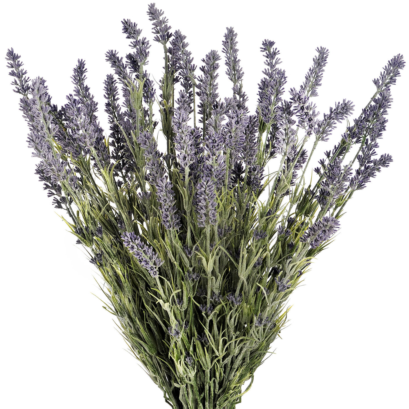 Large Lavender Bush - Lacona Home 