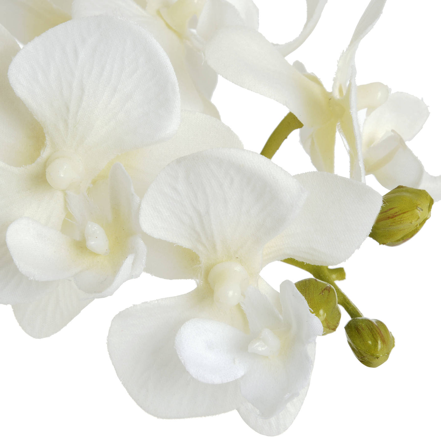 Harmony White Potted Orchid - Lacona Home 