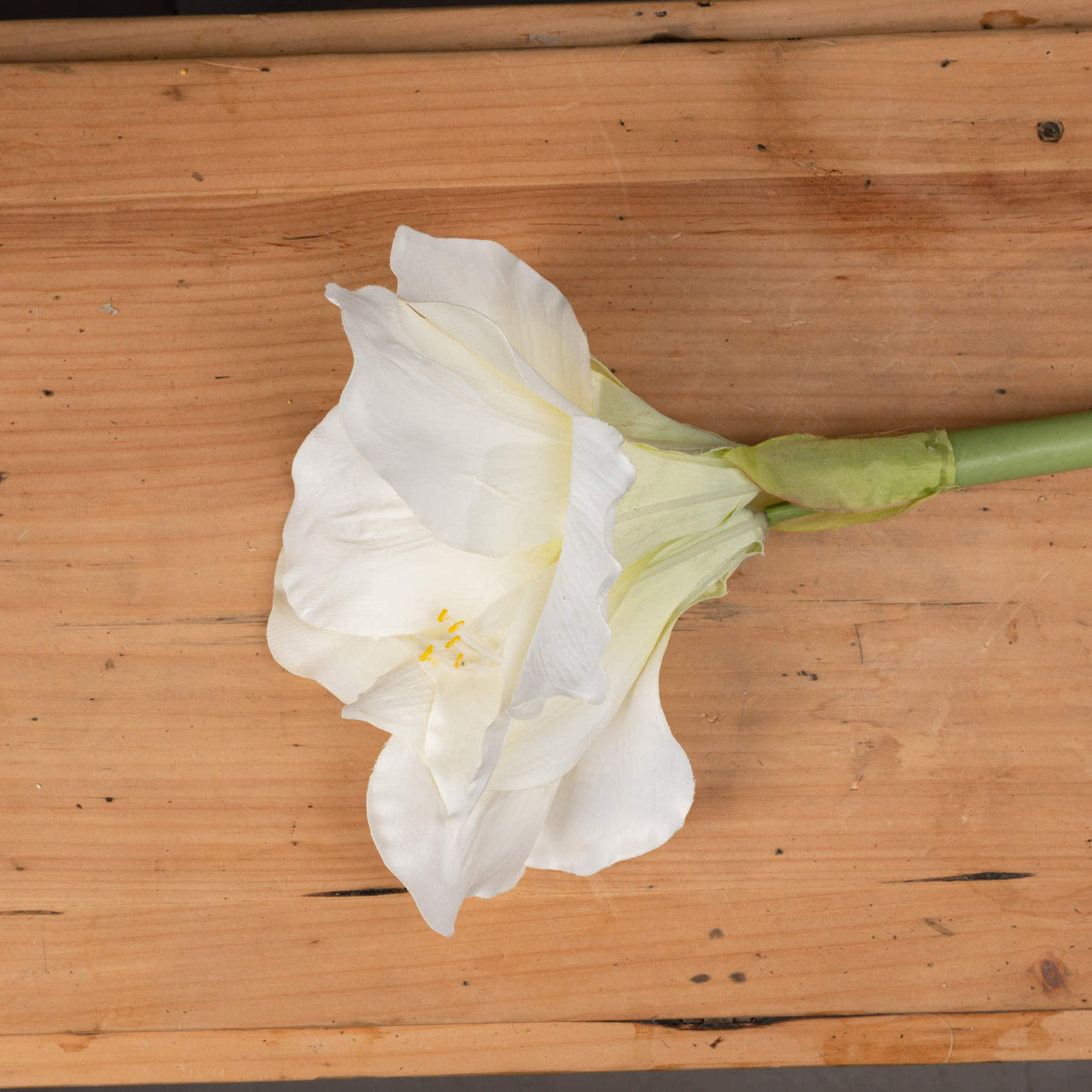 Classic White Amaryllis Flower - Lacona Home 