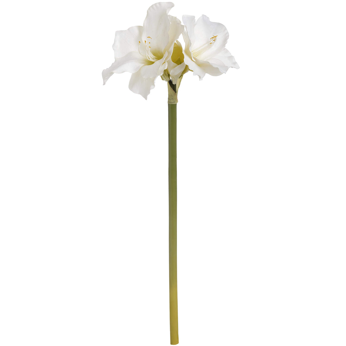 Classic White Amaryllis Flower - Lacona Home 