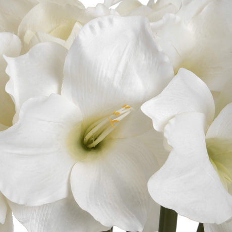 Classic White Amaryllis Flower - Lacona Home 