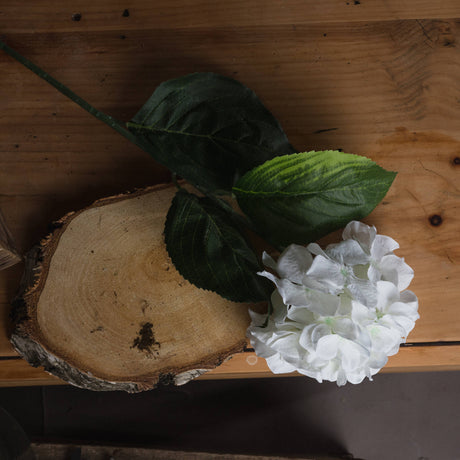 White Small Head Hydrangea - Lacona Home 