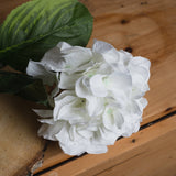 White Small Head Hydrangea - Lacona Home 