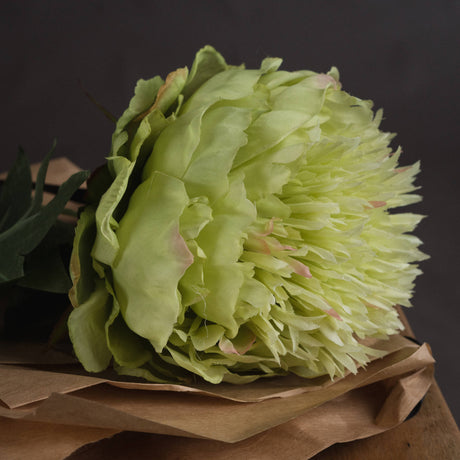 Green Peony - Lacona Home 