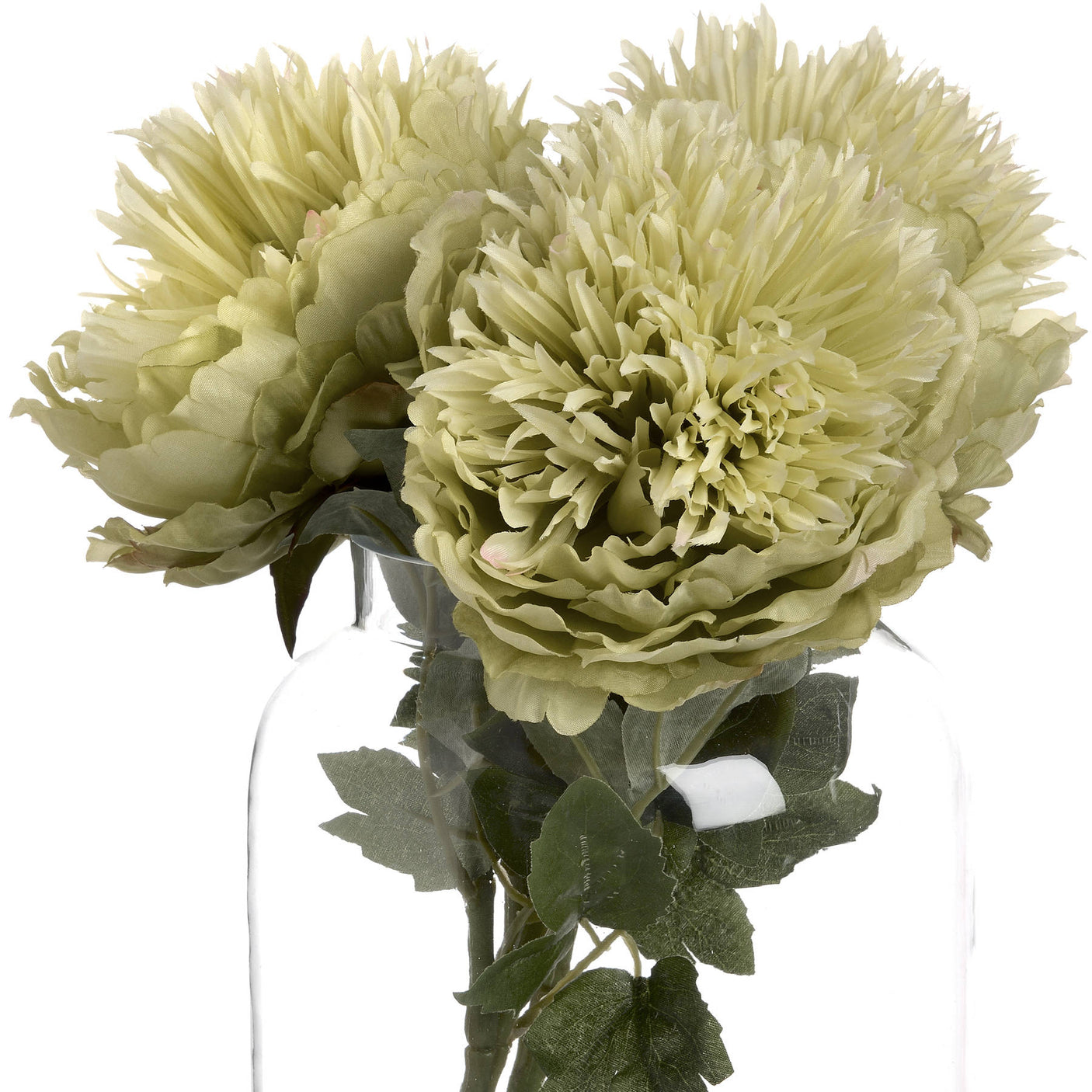 Green Peony - Lacona Home 