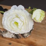 White Ranunculus Spray - Lacona Home 