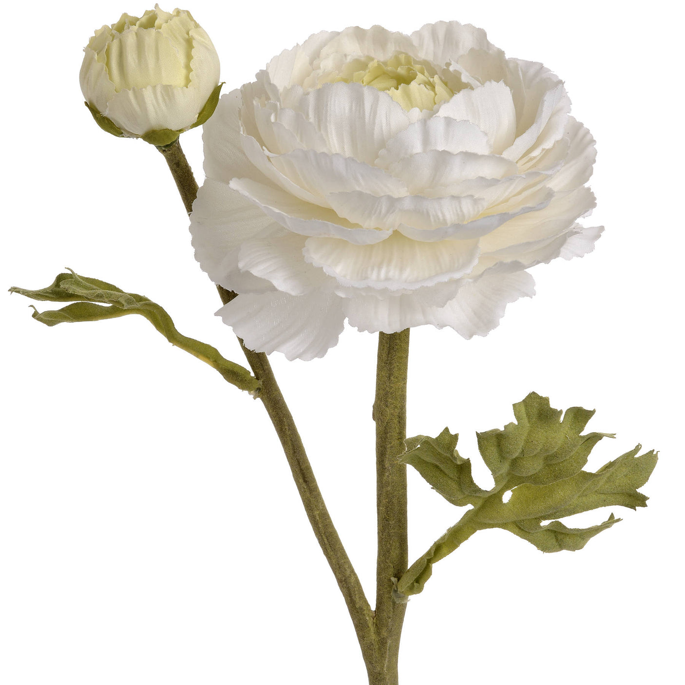 White Ranunculus Spray - Lacona Home 