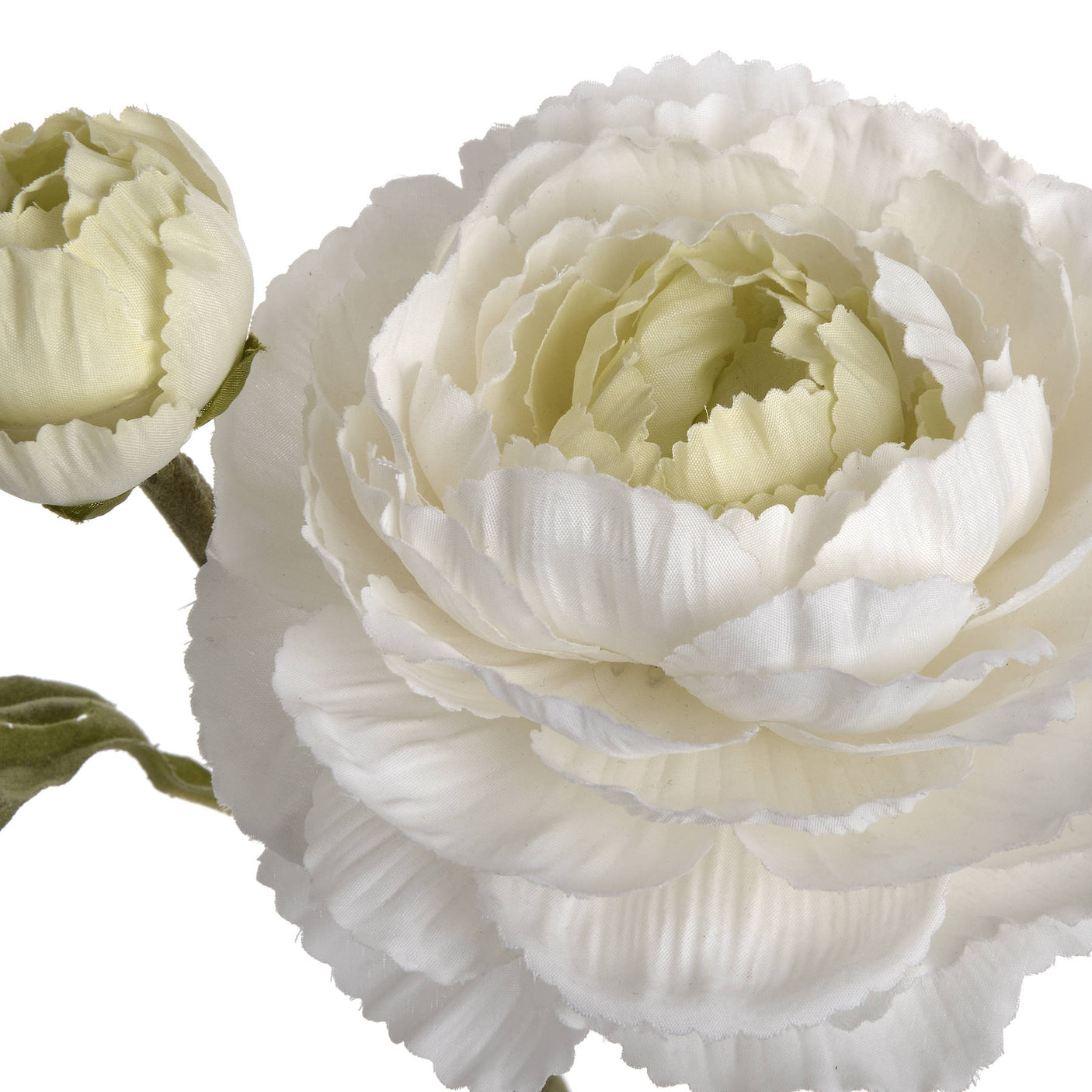 White Ranunculus Spray - Lacona Home 