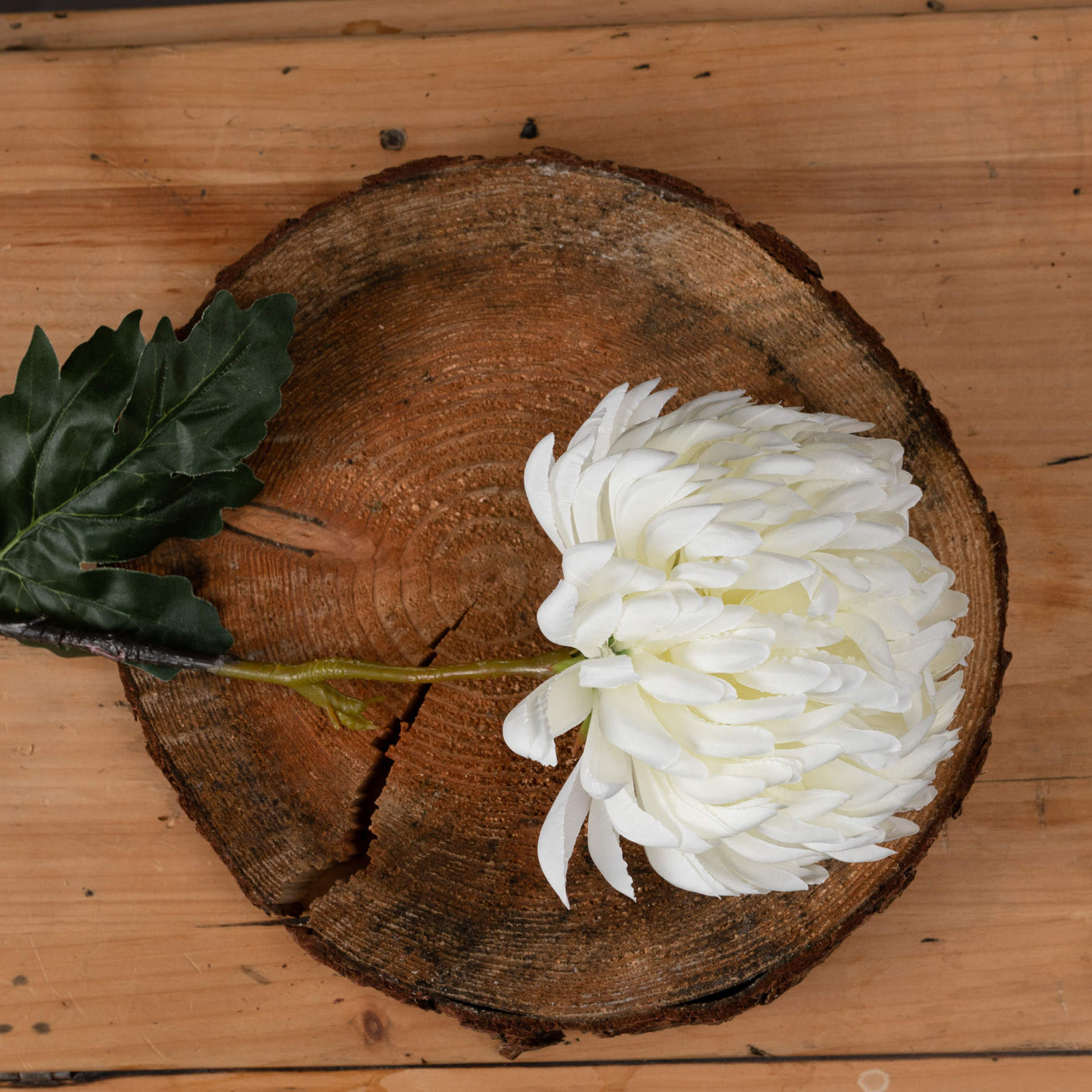 Large White Chrysanthemum - Lacona Home 