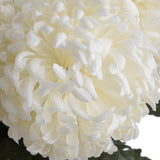 Large White Chrysanthemum - Lacona Home 