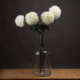 Large White Chrysanthemum - Lacona Home 