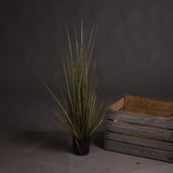 Spray Grass 36 Inch - Lacona Home 