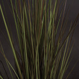 Spray Grass 36 Inch - Lacona Home 