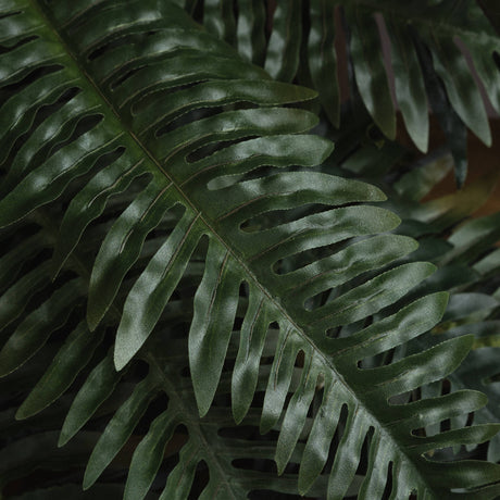 Fern Bunch - Lacona Home 