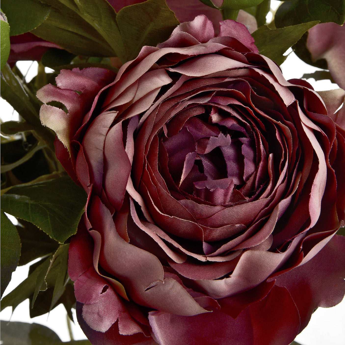 Dusty Pink Spray Rose Peony - Lacona Home 