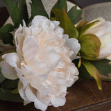 White Fashion Peony - Lacona Home 