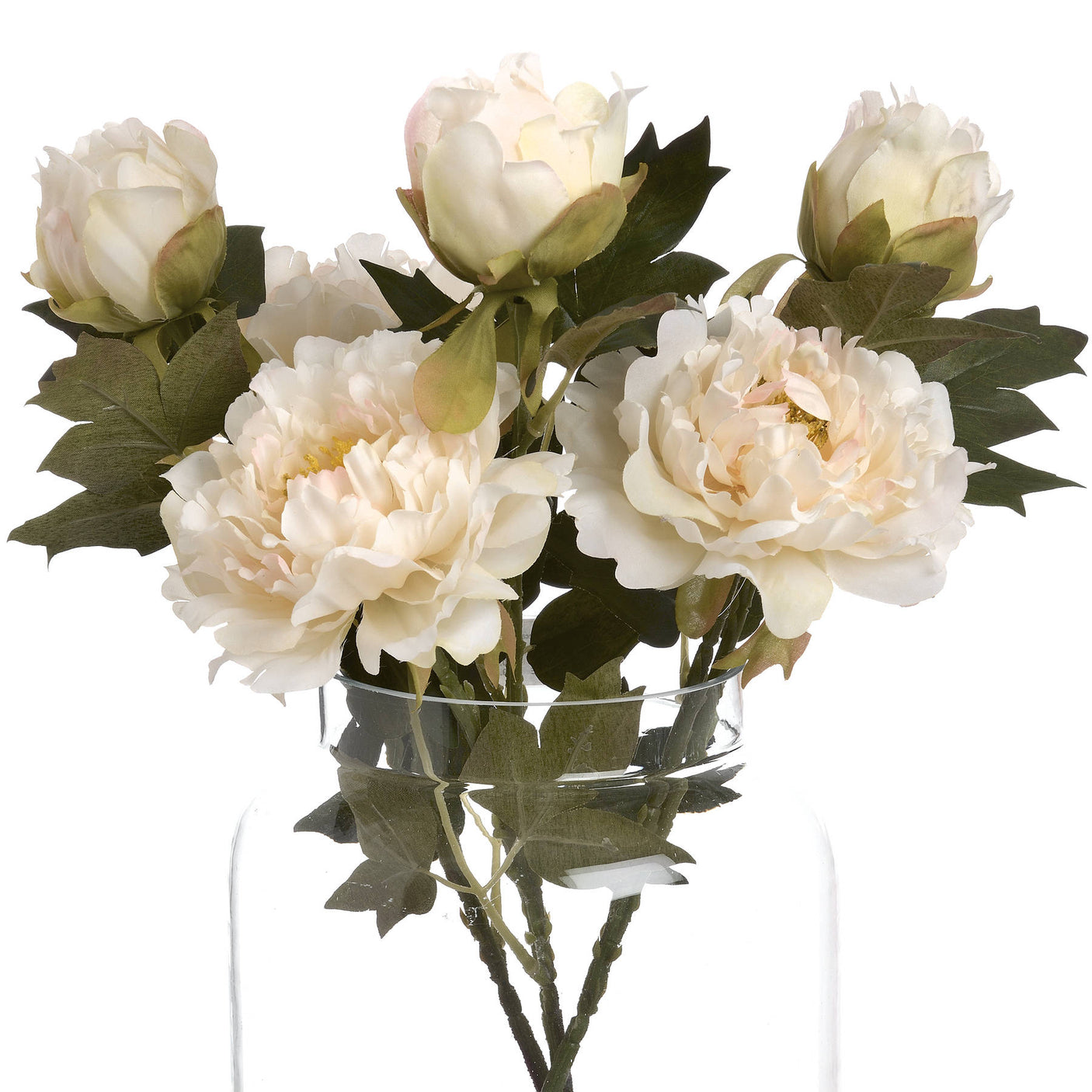 White Fashion Peony - Lacona Home 