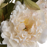 White Fashion Peony - Lacona Home 