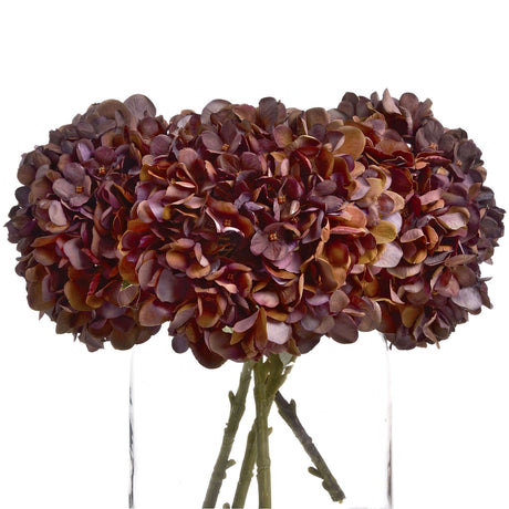 Autumn Coffee Hydrangea - Lacona Home 