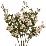 Cream Wild Meadow Rose - Lacona Home 