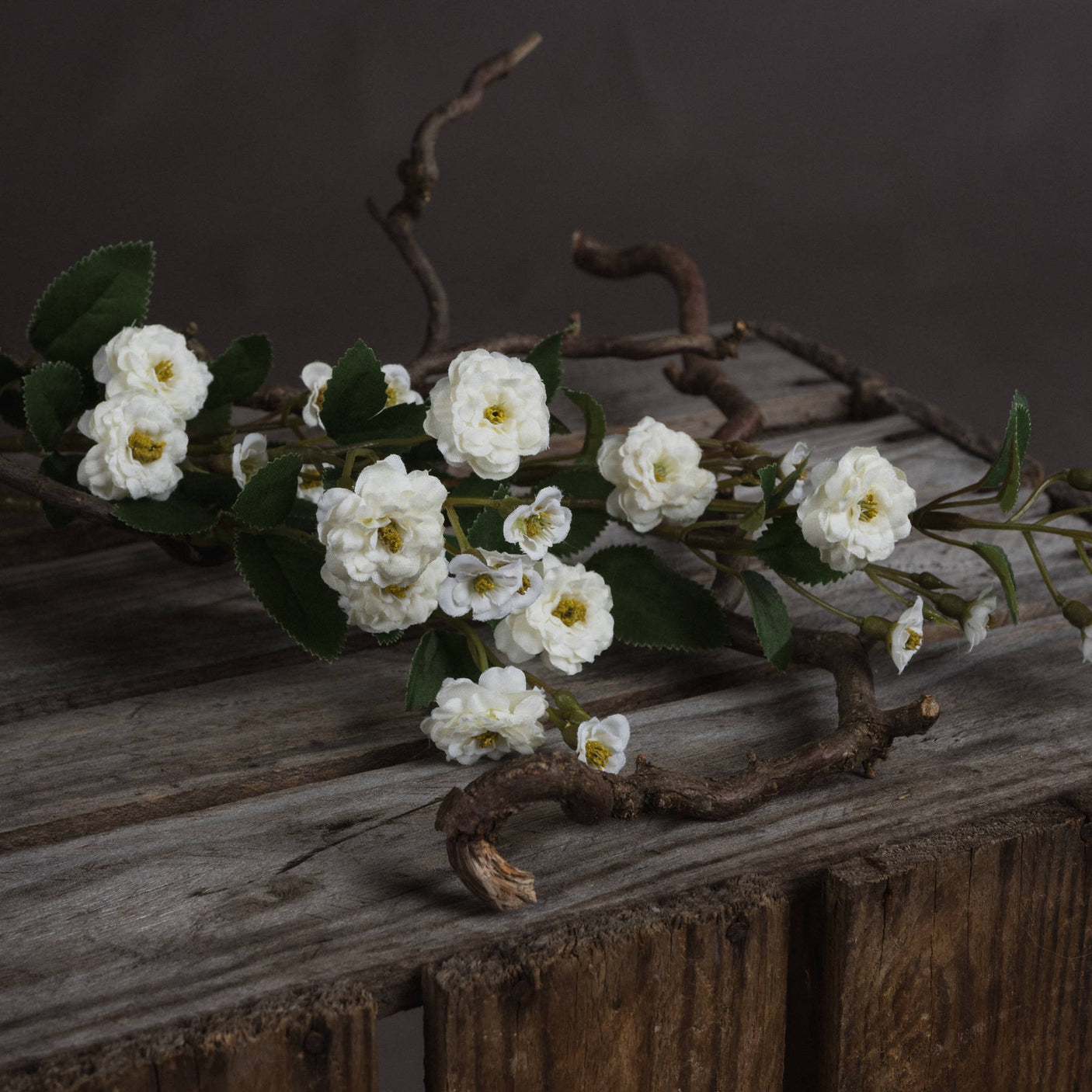 White Wild Meadow Rose - Lacona Home 