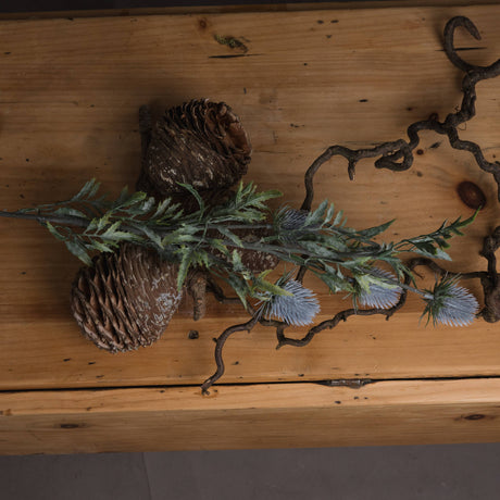 Eryngium Blue Thistle - Lacona Home 