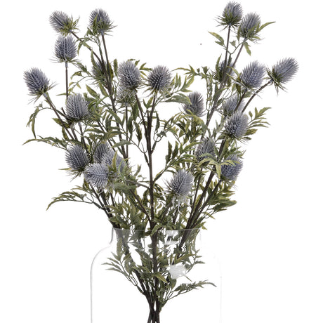 Eryngium Blue Thistle - Lacona Home 