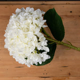 Oversized White Hydrangea - Lacona Home 