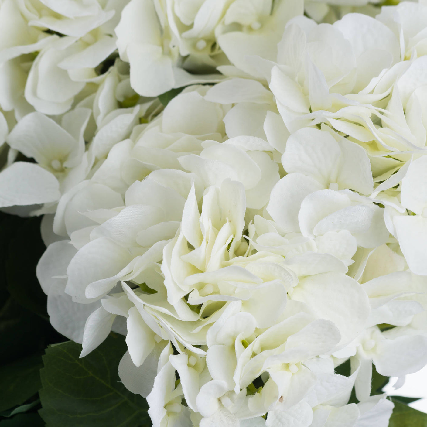 White Hydrangea Bouquet - Lacona Home 