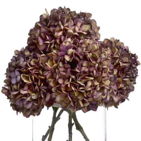 Autumn Burgundy Hydrangea - Lacona Home 