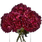 Autumn Ruby Hydrangea - Lacona Home 