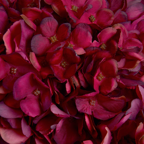 Autumn Ruby Hydrangea - Lacona Home 