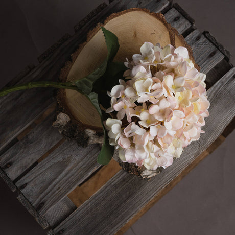 Autumn White Hydrangea - Lacona Home 