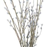 Pussy Willow Branch - Lacona Home 