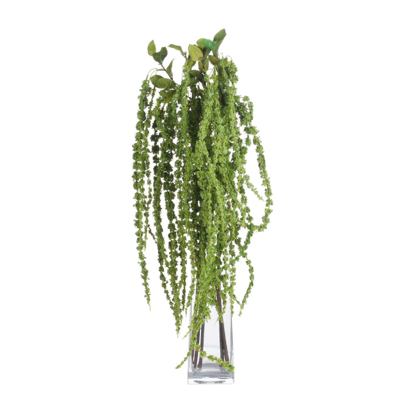 Green Amaranthus - Lacona Home 