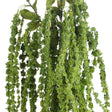 Green Amaranthus - Lacona Home 