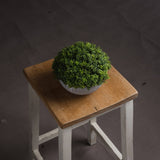 Small Hebe Globe Pot - Lacona Home 