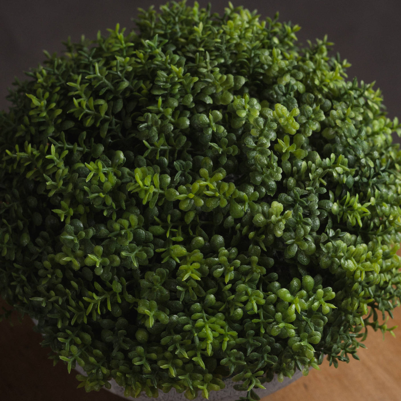 Small Hebe Globe Pot - Lacona Home 