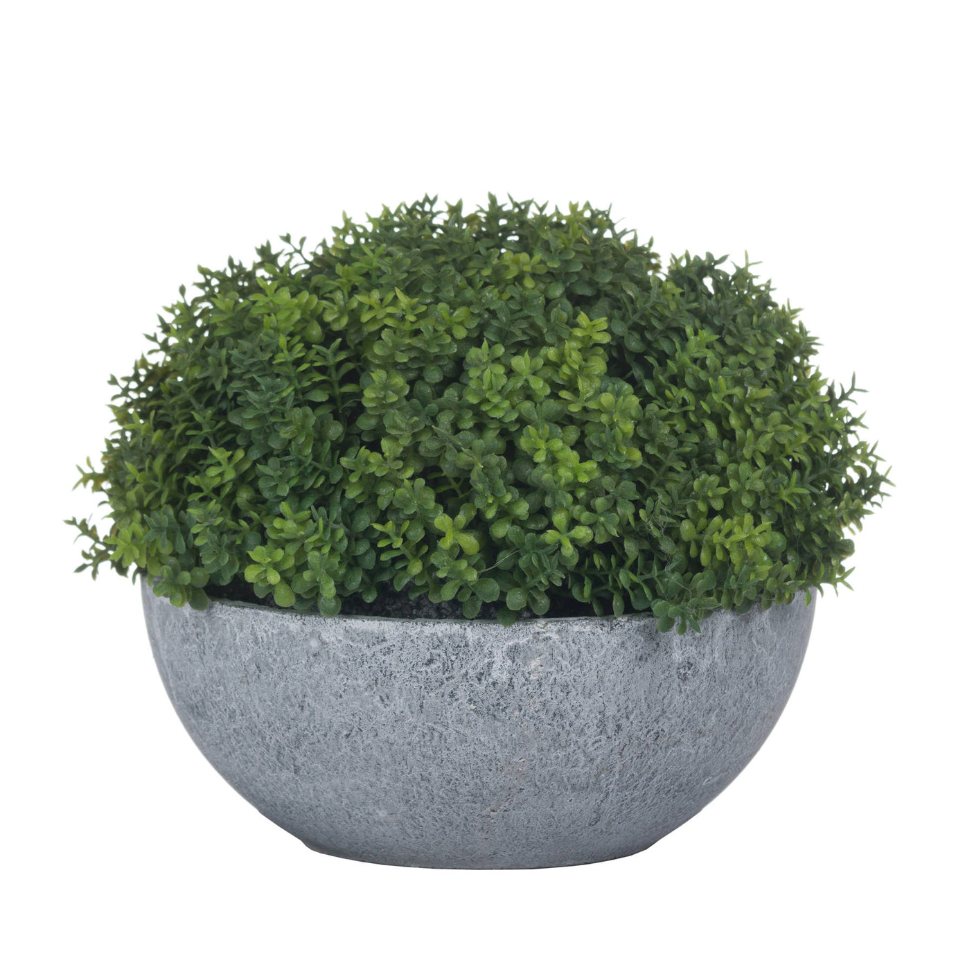 Small Hebe Globe Pot - Lacona Home 