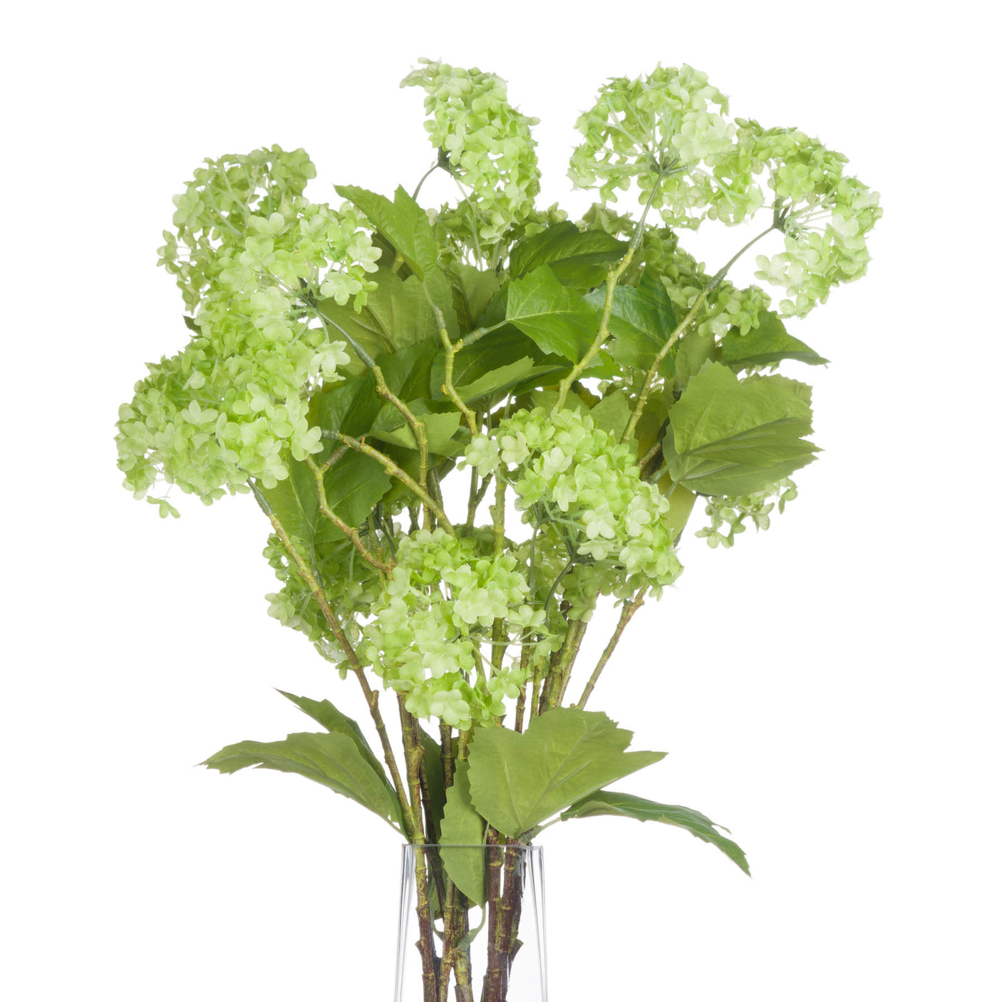 Green Viburnum Spray - Lacona Home 