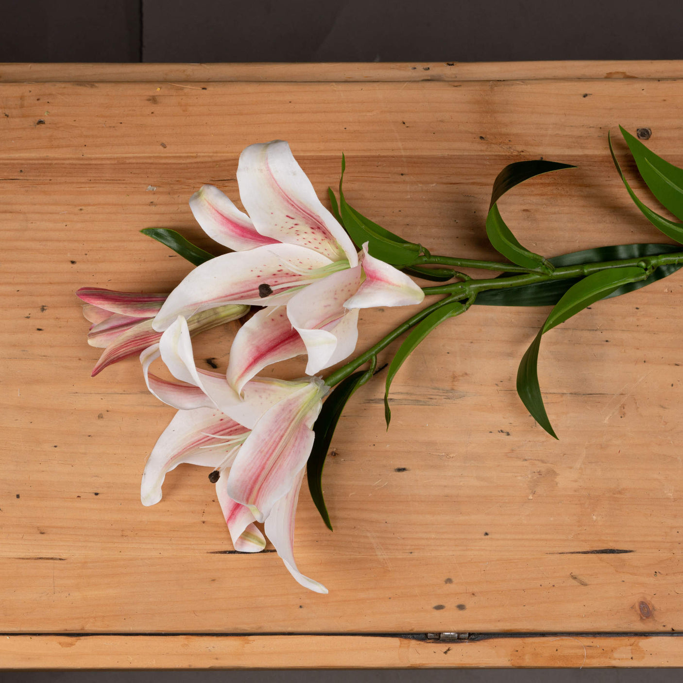 Stargazer Lily - Lacona Home 