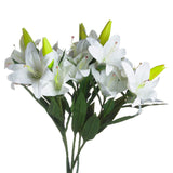 White Lily - Lacona Home 