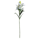 White Lily - Lacona Home 