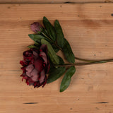 Burgundy Peony Rose - Lacona Home 