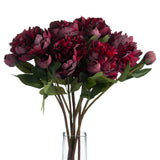 Burgundy Peony Rose - Lacona Home 