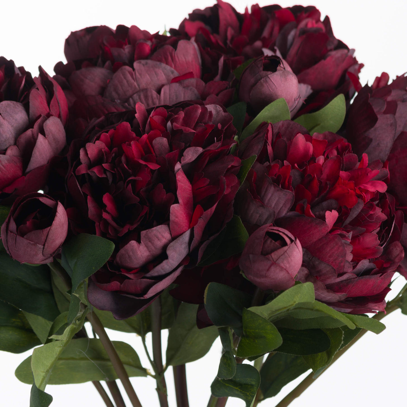 Burgundy Peony Rose - Lacona Home 