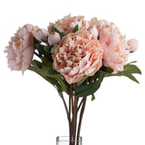 Peach Peony Rose - Lacona Home 