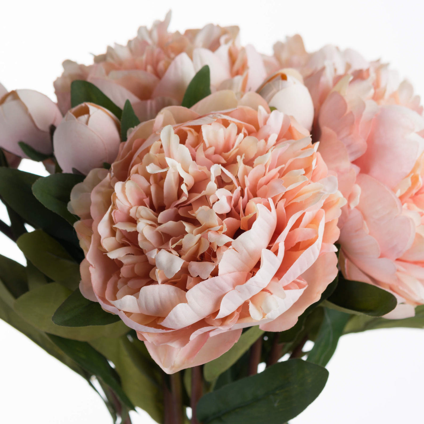 Peach Peony Rose - Lacona Home 